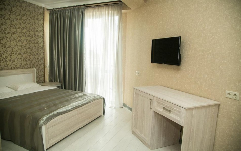 Полулюкс 2-местный 1-комнатный полулюкс с балконом, фото 3