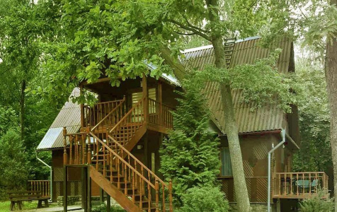 Стандарт 2-местный Комфорт, фото 5