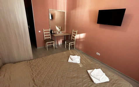 Стандарт 2-местный TWIN/DBL, фото 2