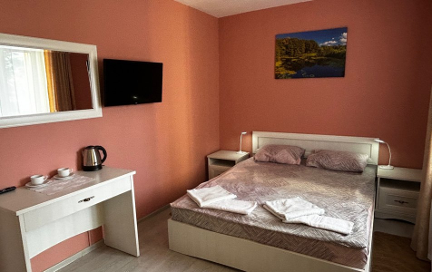 Стандарт 2-местный TWIN/DBL, фото 3