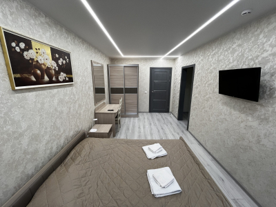 Люкс 2-местный 2-комнатный , фото 2