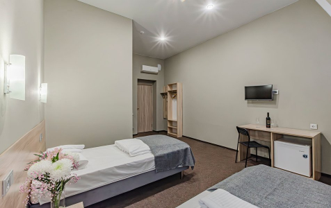 Улучшенный 2-местный TWN на мансарде, фото 5