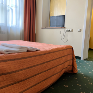 Полулюкс 2-местный, фото 2