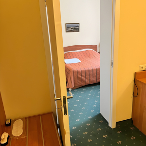 Полулюкс 2-местный, фото 4