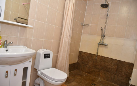 Комфорт Комфорт+  2-х мест 2-ком , фото 5