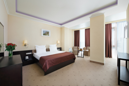 Студия 2-местный 1-комнатный номер, фото 1