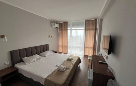 Стандартный 2-местный 1-комнатный с балконом КОРПУС № 2, фото 1