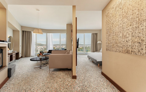 Полулюкс с видом на горы, фото 5