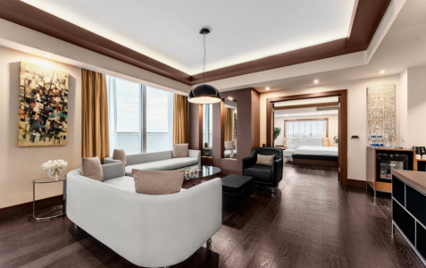 Люкс Президентский, фото 3