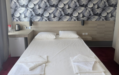 Люкс 2 местный 2 комнатный люкс улучшенный, фото 2