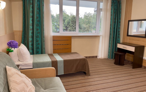 Семейный 4-местный 1-комнатный с балконом корпус 1, фото 1