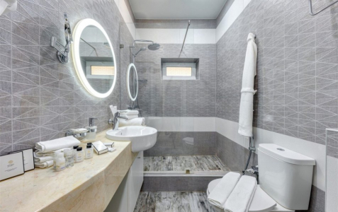 Делюкс Делюкс 5-местный, фото 5