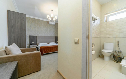 Делюкс Делюкс 5-местный, фото 3