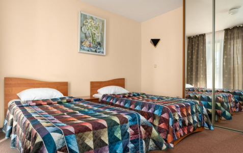 Стандарт 2-местный 1 категории TWIN корпус 1, фото 1