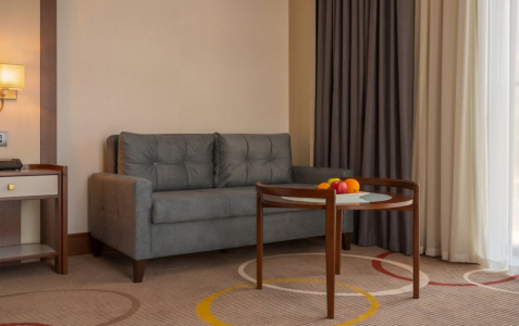 Комфорт 2-местный 1-комнатный, фото 4