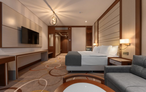 Джуниор 2-местный 1-комнатный вид на гору Железная, фото 3