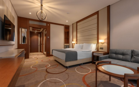 Джуниор 2-местный 1-комнатный вид на гору Железная, фото 4