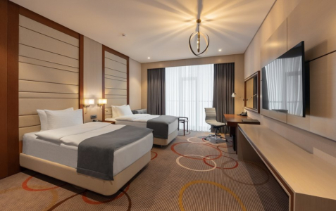 Джуниор 2-местный 1-комнатный вид на гору Железная, фото 2