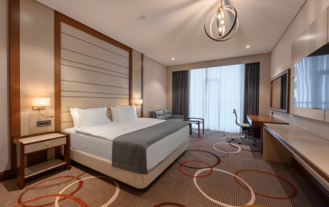 Джуниор 2-местный 1-комнатный вид на гору Железная, фото 1