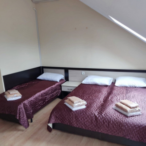 Комната 2-местная мансарда корп.Янтарный, фото 1