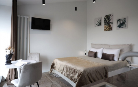 Апартаменты КЛАССИК Unique , фото 1