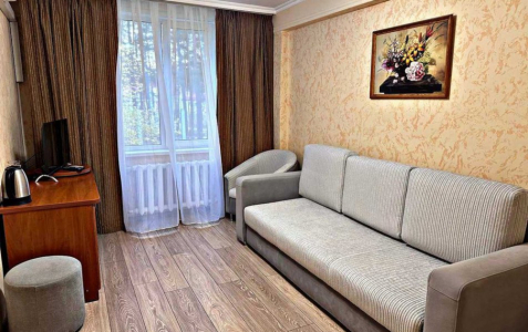 Стандартный 2-местный 2-комнатный TWIN, фото 2