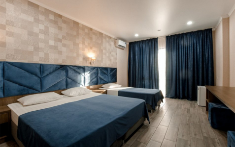 Стандарт 3-местный вид на бассейн 5 этаж, фото 1