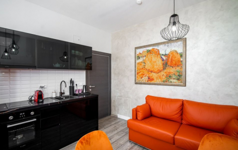 Апартаменты 2-местный с кухней , фото 3