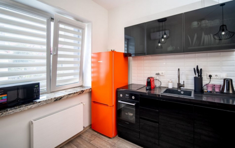 Апартаменты 2-местный с кухней , фото 4