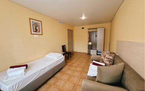 Люкс 3-местный 2-комнатный, фото 3