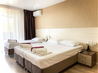 Люкс 3-местный 2-комнатный, фото 1