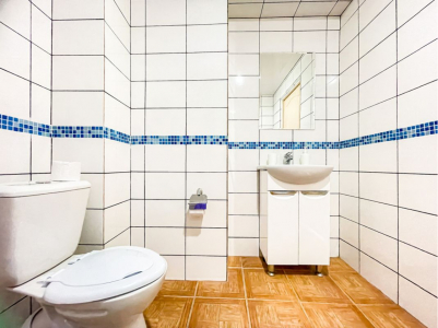 Студия 3-местная панорамная, фото 4