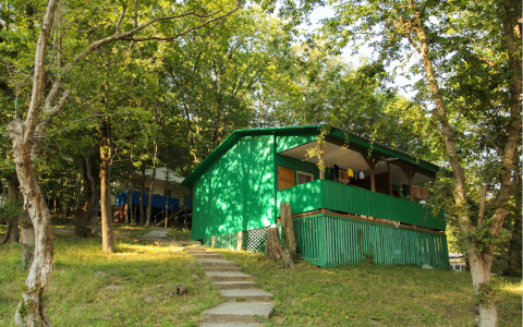 Номер 2-местный в домике, фото 5