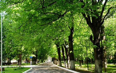 Отель Шереметьевский, фото - 2