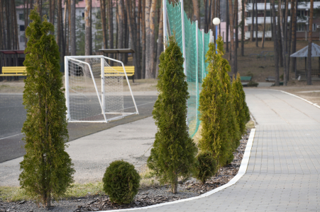 Лечебно-оздоровительный комплекс Огонек, фото - 16