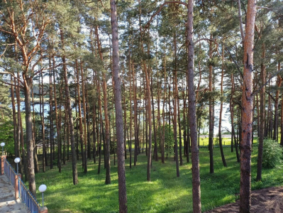 Лечебно-оздоровительный комплекс Огонек, фото - 21