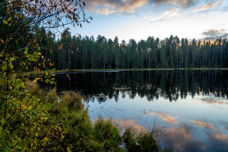 Санаторий Тюрьма для жира, фото - 25
