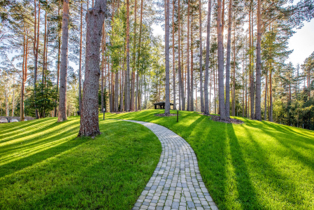 Санаторий Тюрьма для жира, фото - 8