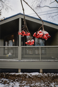 Коттедж студия №6, фото 2