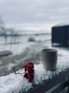 Коттедж «Семейный» №7, фото 1