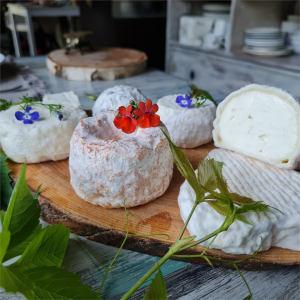 Отдых DREAM VILLAGE Деревня Мечты, фото - 6