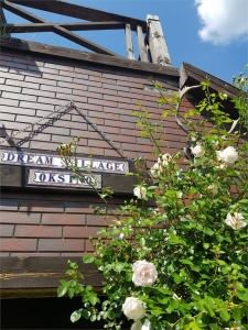 Отдых DREAM VILLAGE Деревня Мечты, фото - 10