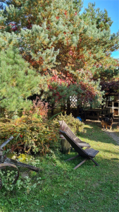 Отдых DREAM VILLAGE Деревня Мечты, фото - 14