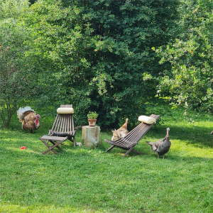 Отдых DREAM VILLAGE Деревня Мечты, фото - 17