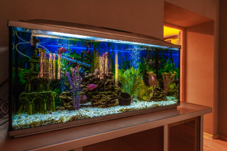 90 Крылова 27, фото 3