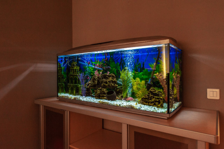 90 Крылова 27, фото 4