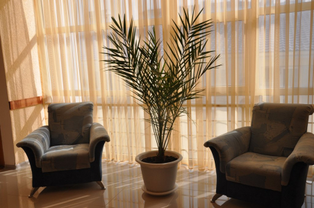 Номер 2-местный 2-комнатный, фото 7