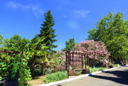 Санаторий Магадан, фото - 31