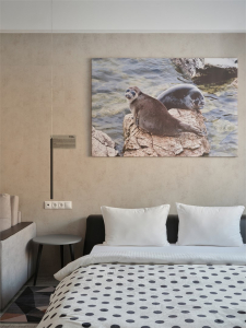 Джуниор Сюит Семейный 2 Комнатный, фото 13