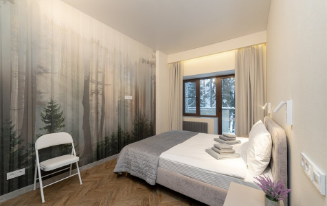Делюкс 2-местный (Лес) 2-х комантный, фото 2